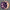 TE37 Grape Jelly Donut Rug