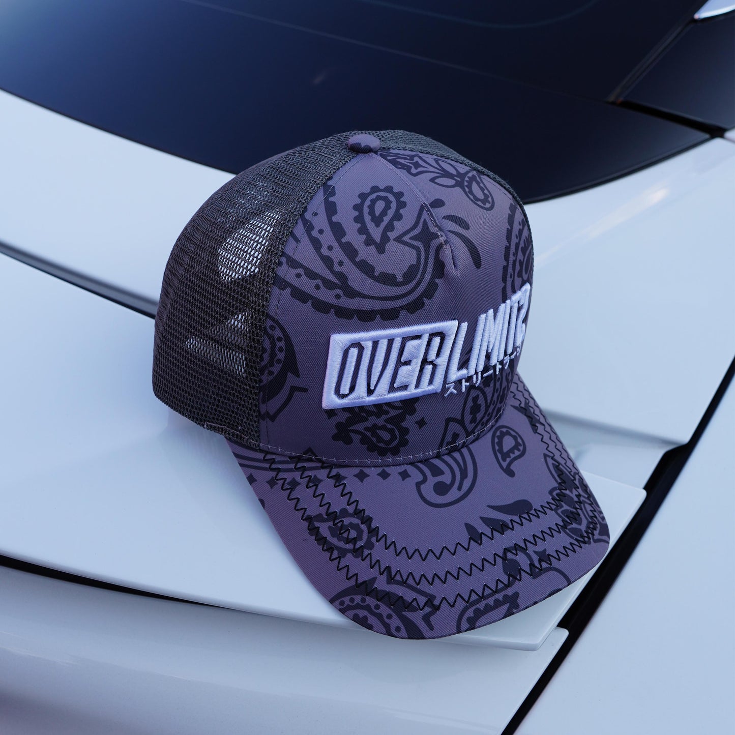 OverLimitz Paisley Hat (Gray)